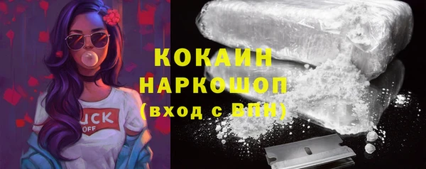 гидра Белоозёрский
