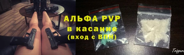 ПСИЛОЦИБИНОВЫЕ ГРИБЫ Белокуриха