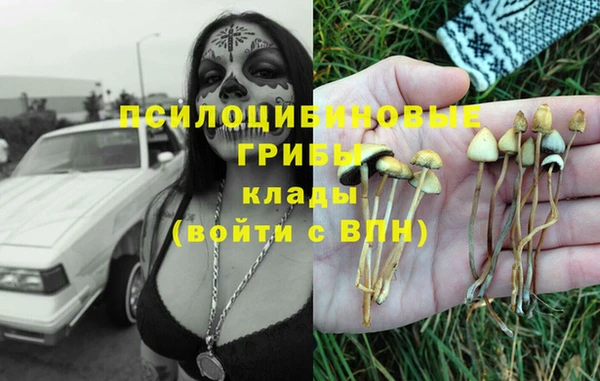 ПСИЛОЦИБИНОВЫЕ ГРИБЫ Белокуриха