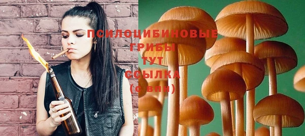 гидра Белоозёрский