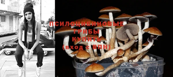 ПСИЛОЦИБИНОВЫЕ ГРИБЫ Белокуриха