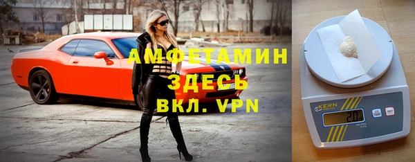 ПСИЛОЦИБИНОВЫЕ ГРИБЫ Белокуриха