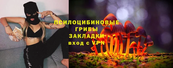 ПСИЛОЦИБИНОВЫЕ ГРИБЫ Белокуриха
