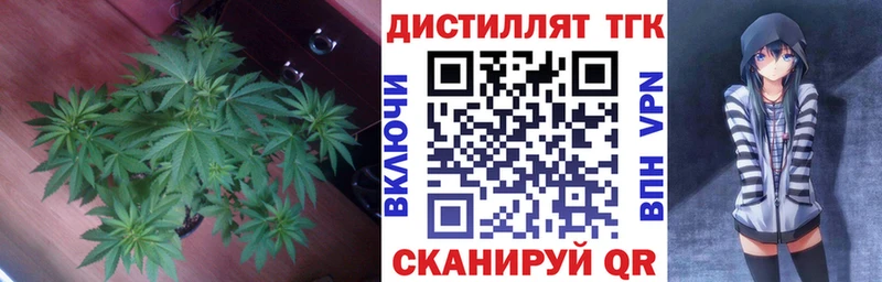 ТГК гашишное масло  закладки  Верхняя Пышма 