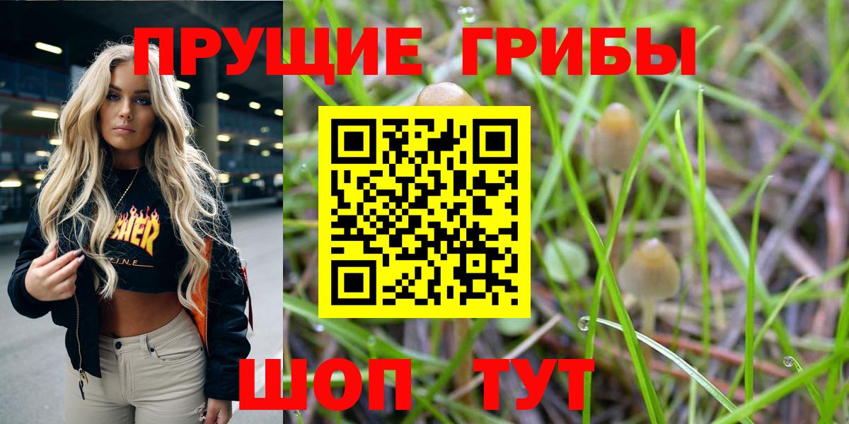 Галлюциногенные грибы мухоморы Верхняя Пышма