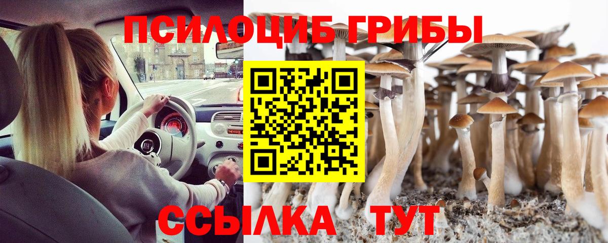 Псилоцибиновые грибы Psilocybe  Псилоцибиновые грибы мицелий  Верхняя Пышма  Вход с VPN 