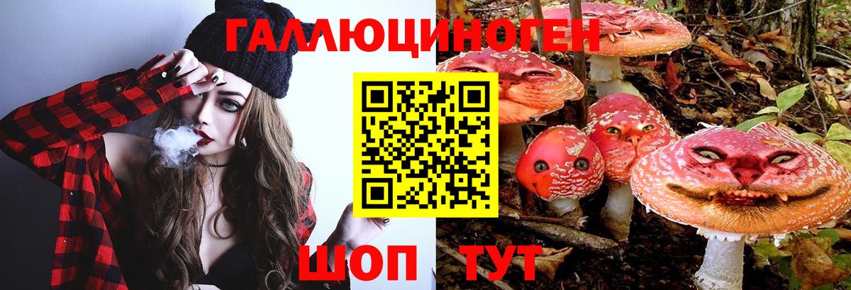 Галлюциногенные грибы прущие грибы  Галлюциногенные грибы прущие грибы  Верхняя Пышма 